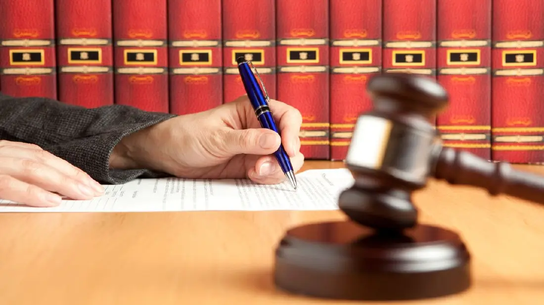 @广东人，这些法规12月起施行