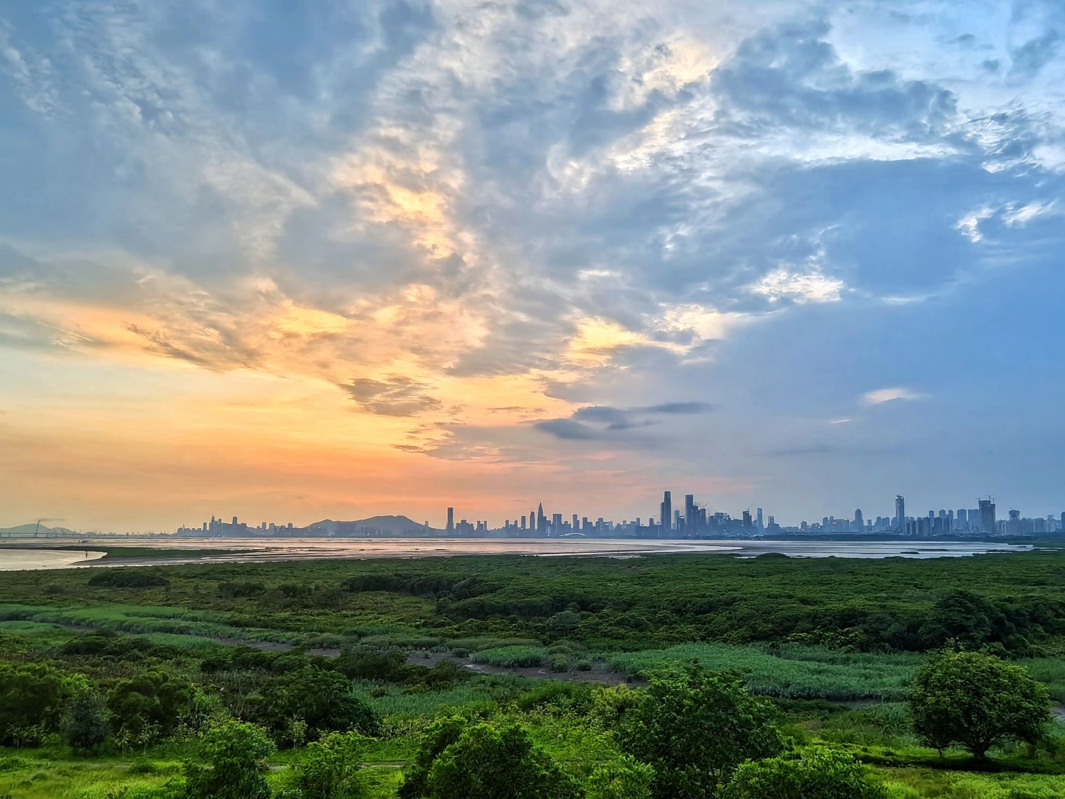 120余家机构已申请加入：全国蓝碳交易联盟倡议大会在深召开 