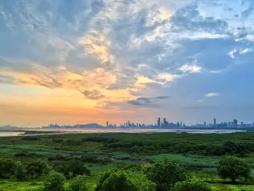 120余家机构已申请加入：全国蓝碳交易联盟倡议大会在深召开 