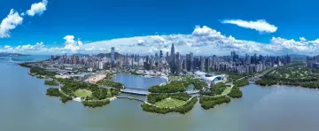 深圳人与红树林的生命哲学共鸣