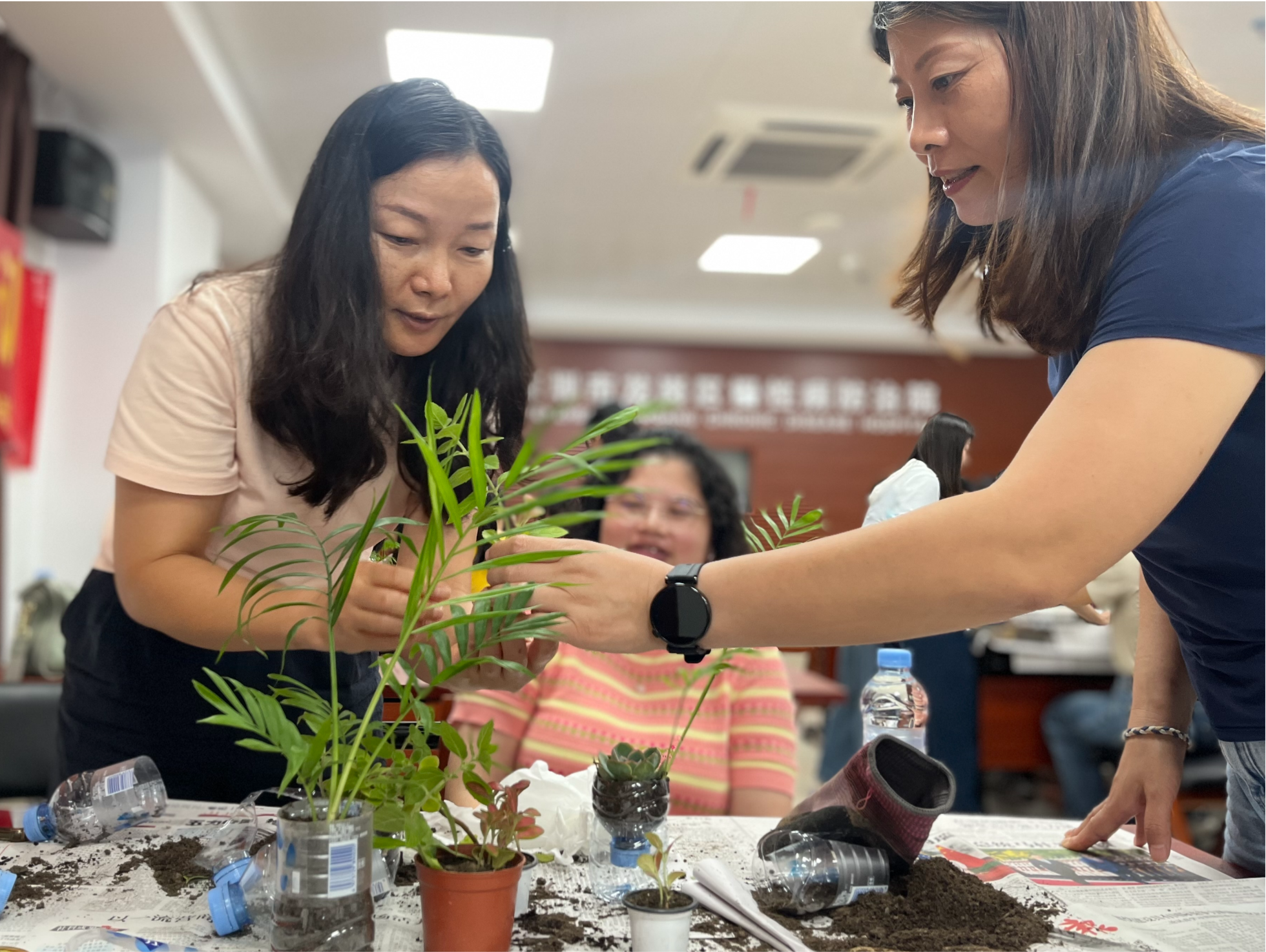 龙岗创新精神卫生人才培养模式 为基层心理健康服务注入专业动能