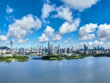 深圳智慧水务一期工程荣膺国家级金奖