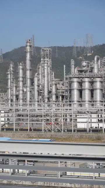 探访大亚湾石化区“优等生” 看中海壳牌如何发挥“榕树效应”带动一片产业森林