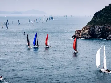 维港千帆竞发,第十七届中国杯帆船赛启航!300艘赛船激烈较量
