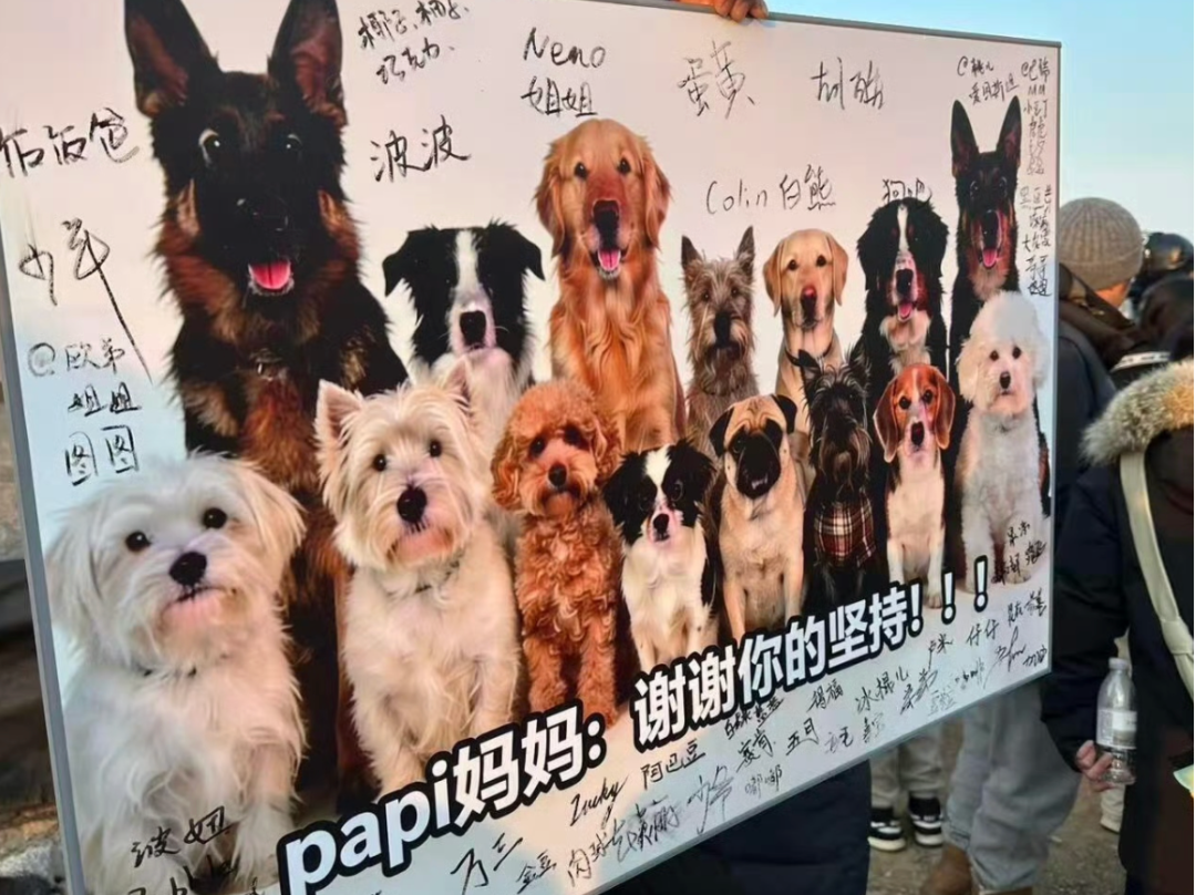 获刑4年！北京首例宠物中毒刑事公诉案宣判，被告人当庭提出上诉