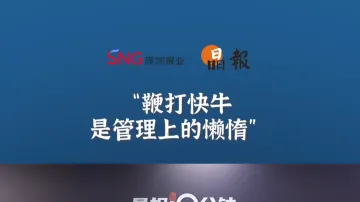 晶报10分钟丨鞭打快牛是管理上的懒惰