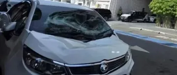 当场死亡！中国女游客酒店坠楼，现场一男性大声呼喊