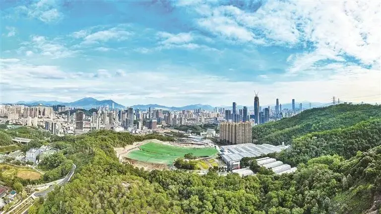 刷爆全网！“隐世埋名”20年，深圳一地突然火了！