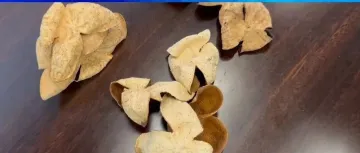 售价千元,成本仅70元?央视曝光陈皮造假,广西浦北连夜通报