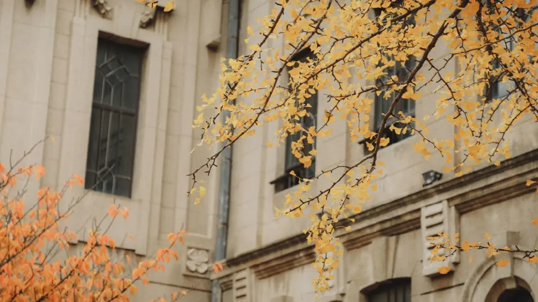 温度记 | 深圳今起转多云！最低12℃，下周“至冷时刻”要来了，回温就在……