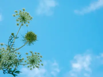 温度记|体感较舒适!深圳晴好模式“限时打卡”,未来几天云量增多