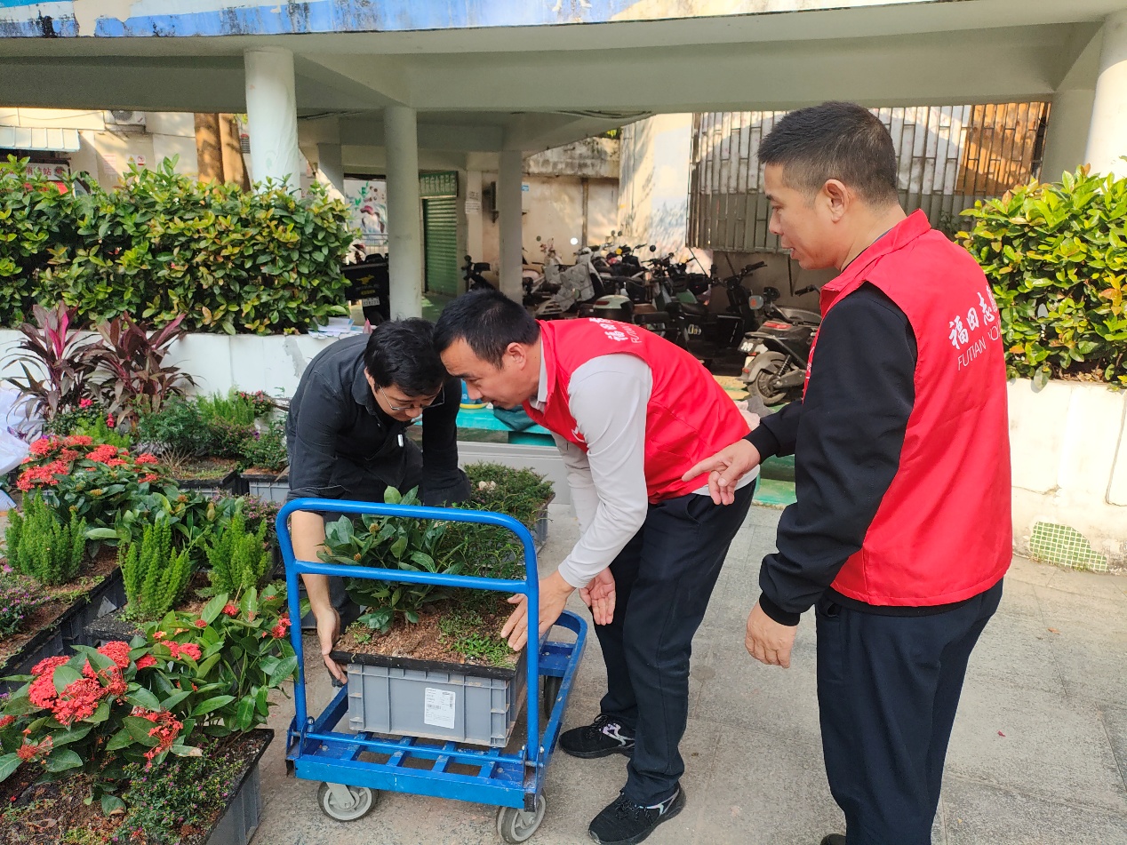 “漂流花园”成了社区居民的新舞台 “小鸭嘎嘎”积极探索参与式的社区生态教育实践