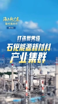 惠州:打造世界级石化能源新材料产业集群