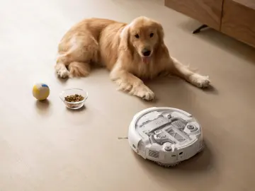 广货行天下｜深圳扫地机器人：这里“圳”在改写全球扫地机器人格局