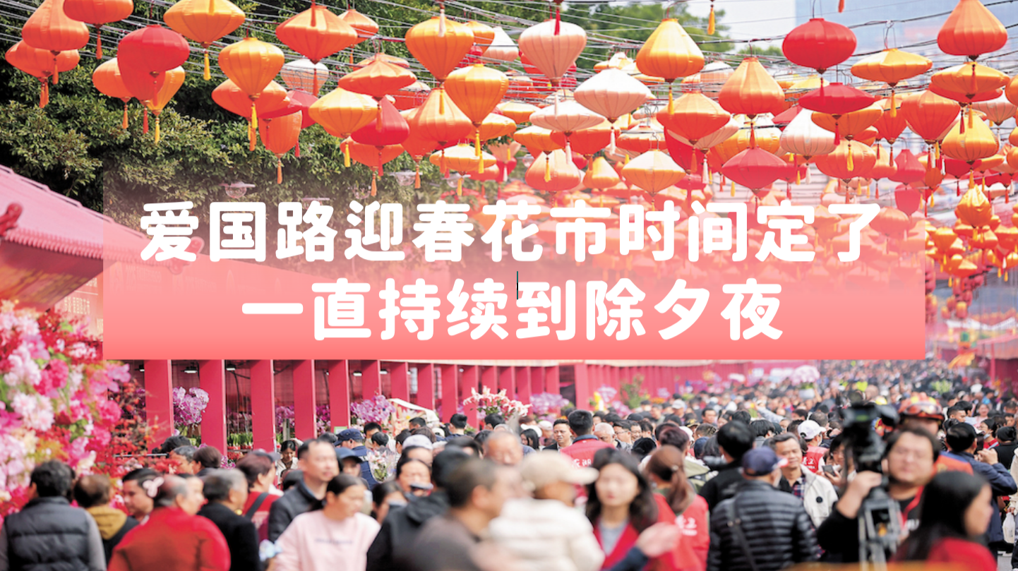 爱国路迎春花市时间定了  一直持续到除夕夜