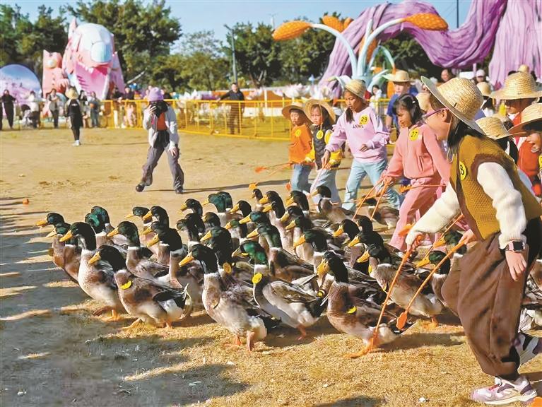 光明元旦假期接待游客超31万人次