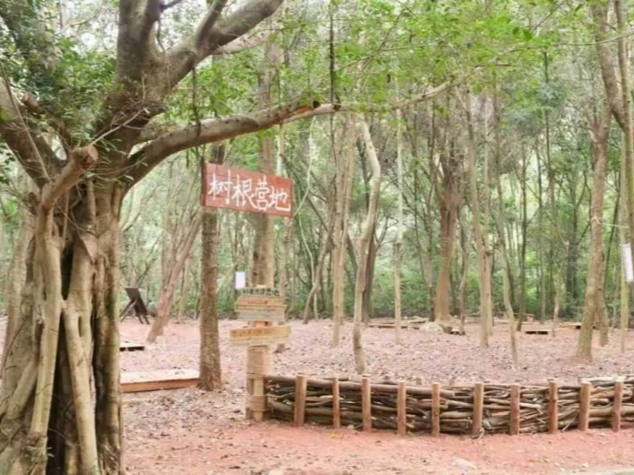 生态秘境地铁直达 园山这条满满自然美学的郊野径开放了