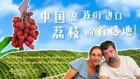 《独家采访南美最大荔枝供应商：“中国是我们进口荔枝的首选地”》