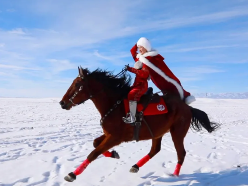 官方回应贺娇龙被传去世：还在核实相关消息
