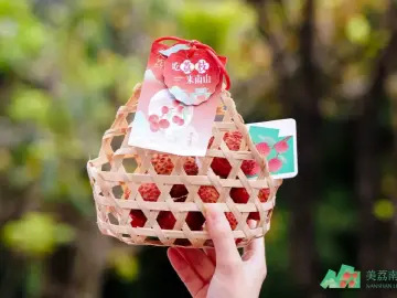 广货行天下｜南山荔枝：千年贡品，岭南至味  