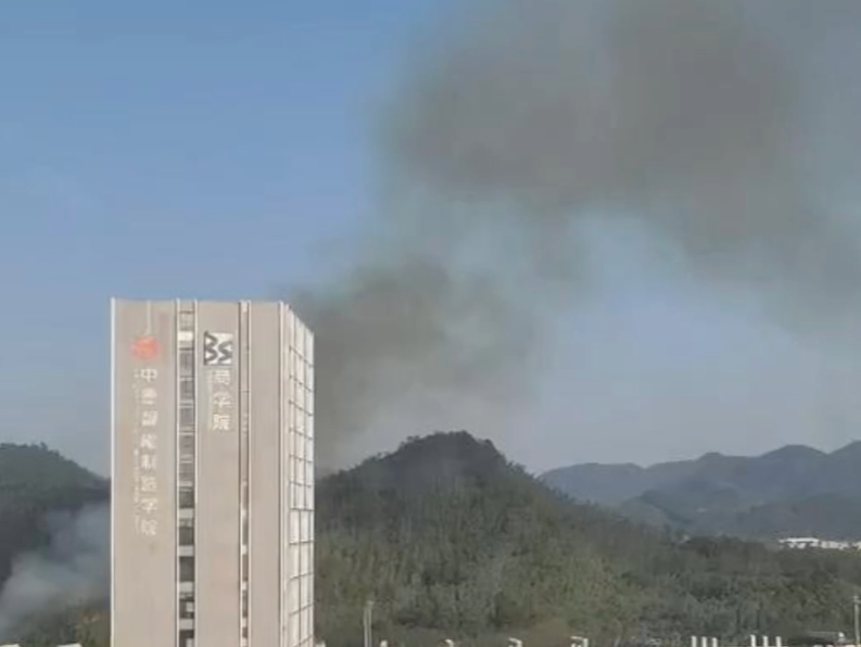 深圳坪山石井街道发生山火，最新通报：明火已于21时50分扑灭，无人员伤亡