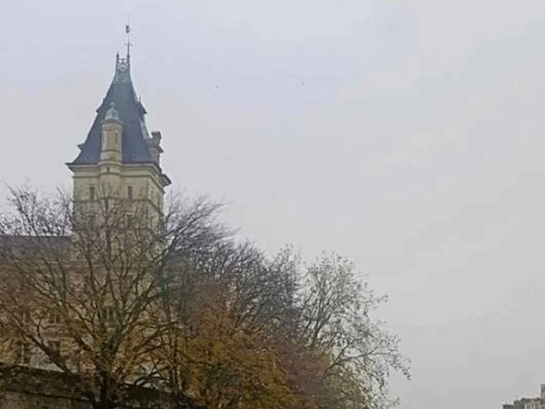 深晚快评丨“素颜巴黎”走红：治愈我的精致焦虑