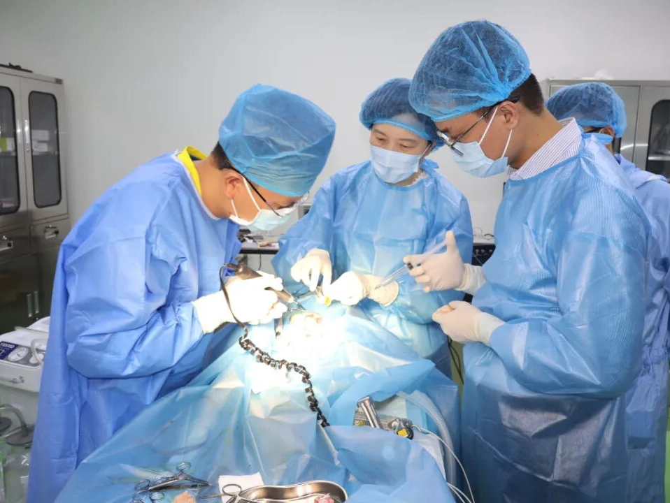 眼脑相连，深圳市眼科医院迟玮团队在“无线视觉”领域取得新突破