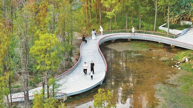 上寮河碧道获评深圳海绵城市建设优秀项目 | 百千万工程
