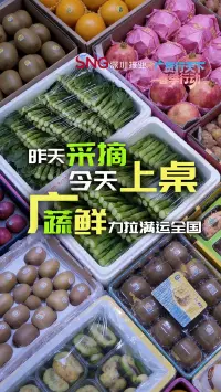 广货行天下丨昨天采摘今天上桌，广蔬鲜力拉满运全国