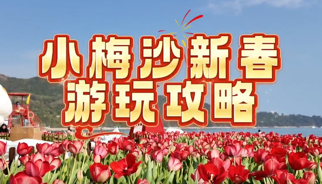 来深过大年｜这份小梅沙新春游玩攻略请收好