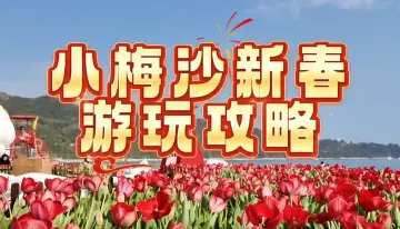 来深过大年｜这份小梅沙新春游玩攻略请收好
