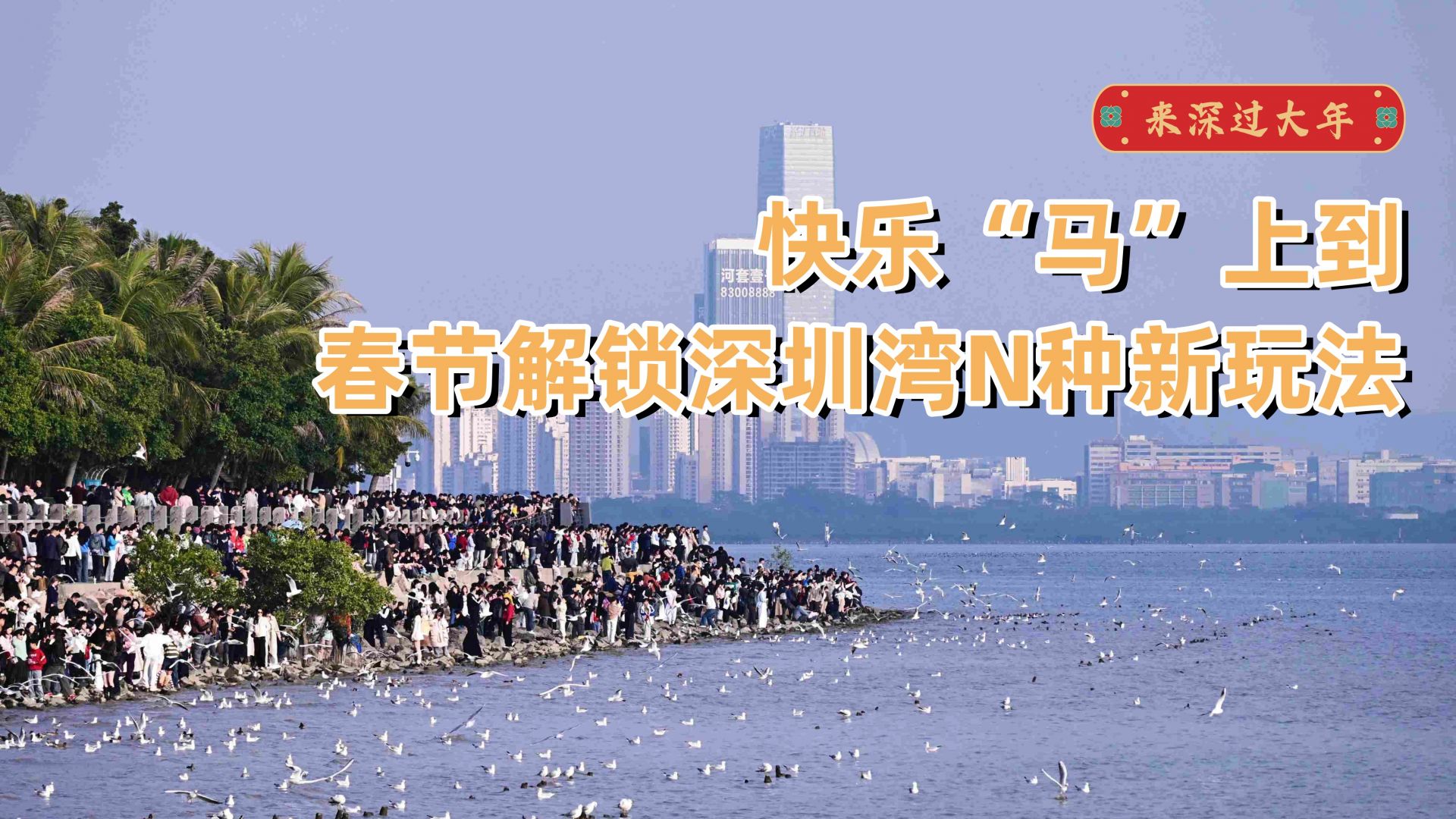 来深过大年 | 快乐“马”上到!春节解锁深圳湾N种新玩法~