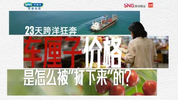 23天跨洋狂奔，车厘子价格是怎么被“打下来”的？| APEC“中国年”特别策划