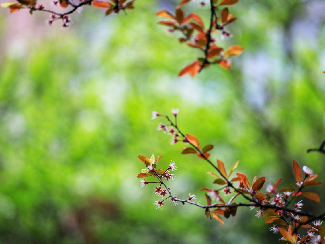 温度记 | 要穿短袖了？深圳晴暖回归直冲23℃！节前开启“升温模式”