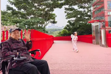 来深过大年｜“在深圳过年，暖和又方便”——苏奶奶连续三年“反向春运”