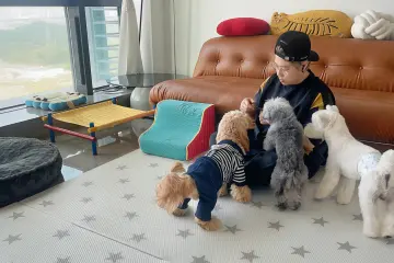 新春走基层｜留深5年，给“毛孩子”过个温暖年