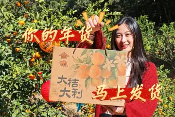 金龟桔香迎新春！整树预定，年味拉满！