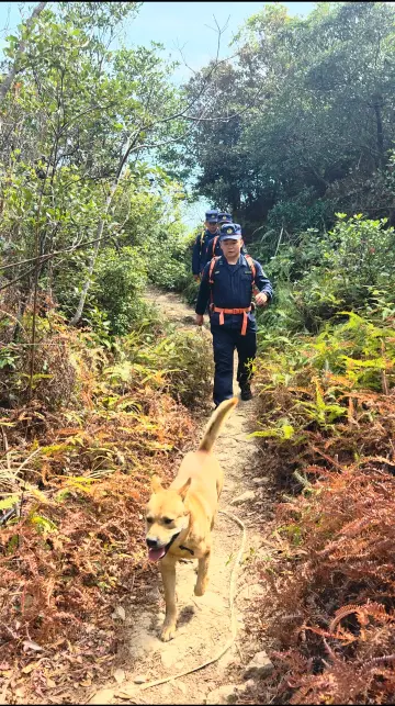 新春走基层｜萌宠引路，跟着大鹏森防队员去“巡山”