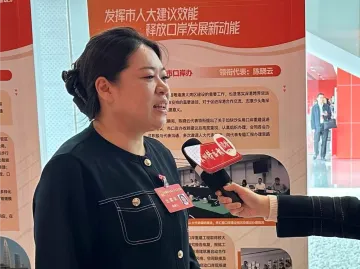 破解“僵尸车”治理困局,人大代表建议建立系统治理体系