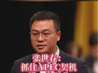 张世春：抓住APEC契机 进一步提升深圳国际化服务水平