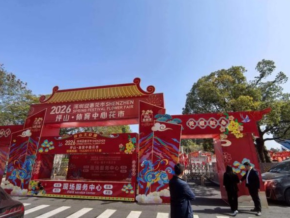 花开坪山，年味满街！2026迎春花市等你来逛，非遗展演别错过