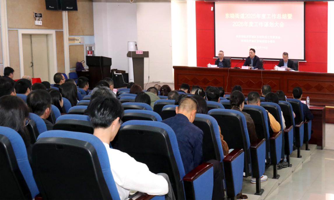 罗湖区东晓街道：聚焦产业能级提升等四个方面，释放发展新潜力