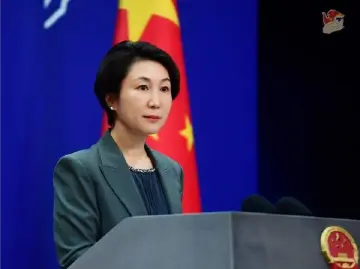 一名中国公民在德黑兰遇难 外交部：对遇难同胞表示哀悼