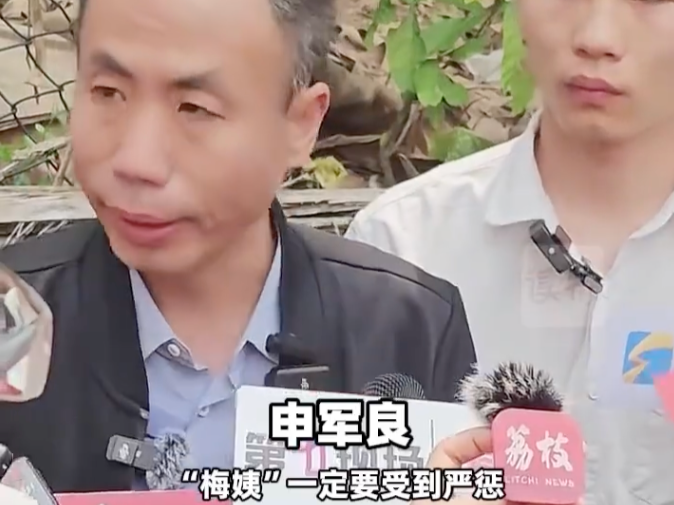 “梅姨案”受害者申军良父子发声:“梅姨”一定要受到严惩!