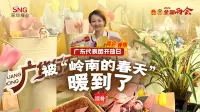 在广东开放日上,被“岭南的春天”暖到了