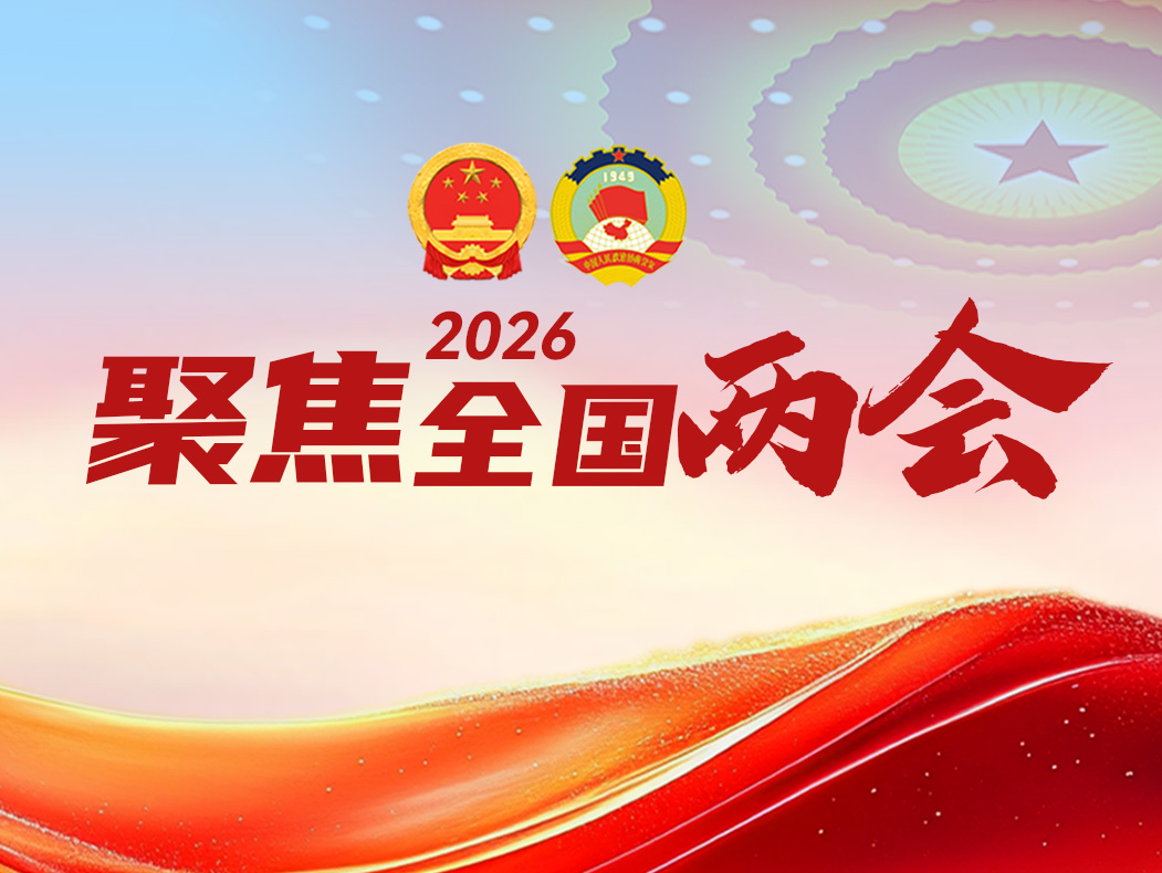 十四届全国人大四次会议审查国民经济和社会发展第十五个五年规划纲要草案