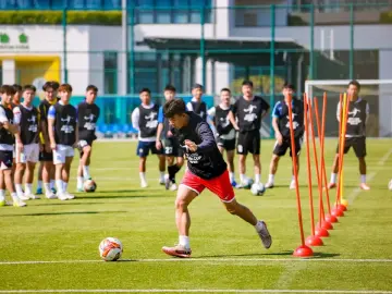 主打一个“来粤即享”“来看即享”！全年248场对决，你的周末即将被广东包圆→