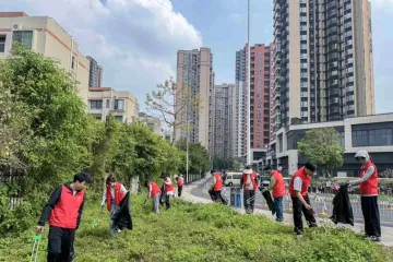 挥汗添绿，扮靓家园！坪山区坑梓街道多方自发整治环境迎APEC峰会