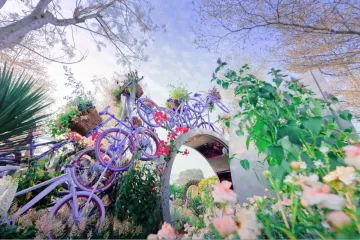来场“紫”定行Color Walk！国交公司荣获2026粤港澳大湾区花园大赛两项大奖