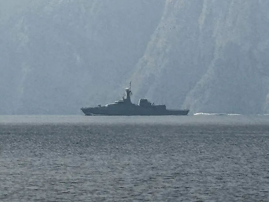 国际海事组织：霍尔木兹海峡船只遭袭造成海员4死3重伤 